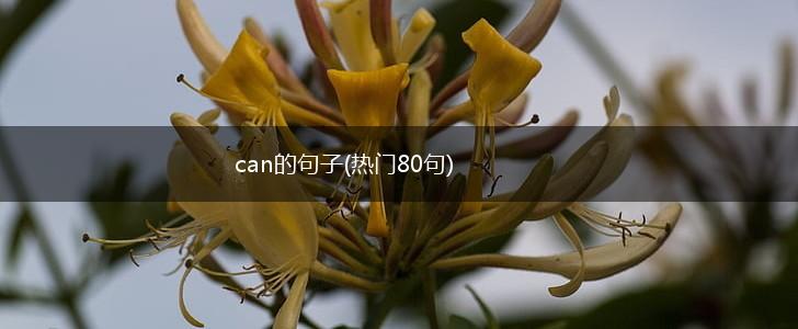 can的句子(热门80句),第1张