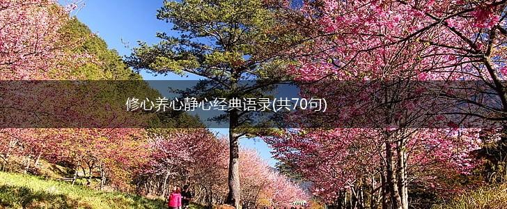 修心养心静心经典语录(共70句),第1张