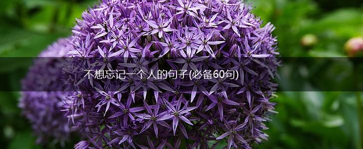 不想忘记一个人的句子(必备60句),第1张
