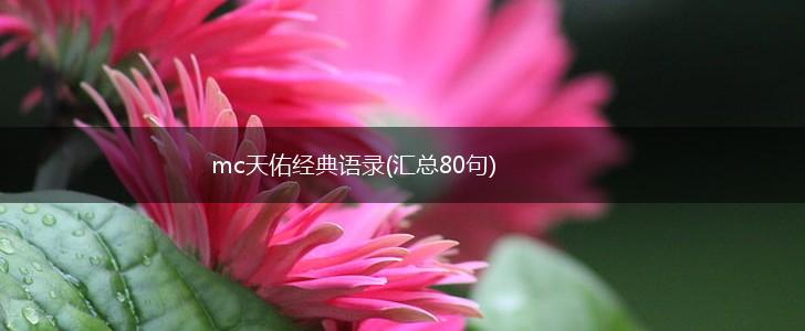 mc天佑经典语录(汇总80句),第1张