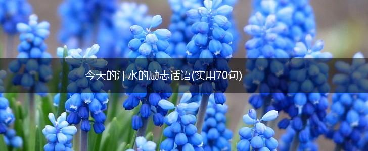 今天的汗水的励志话语(实用70句),第1张
