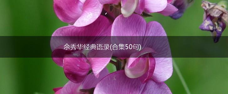 余秀华经典语录(合集50句),第1张