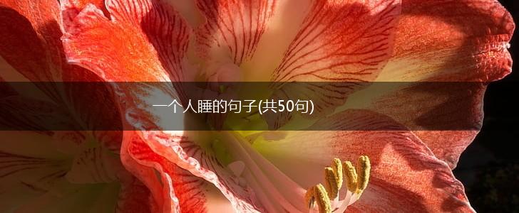 一个人睡的句子(共50句),第1张