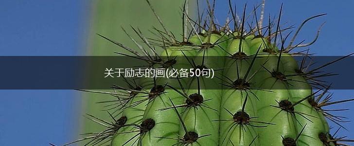 关于励志的画(必备50句),第1张