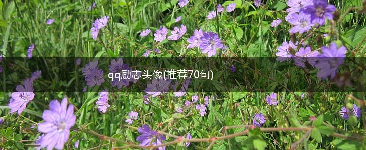 qq励志头像(推荐70句),第1张