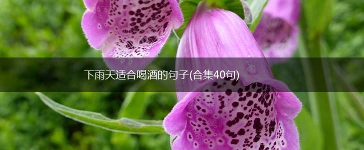 下雨天适合喝酒的句子(合集40句),第1张