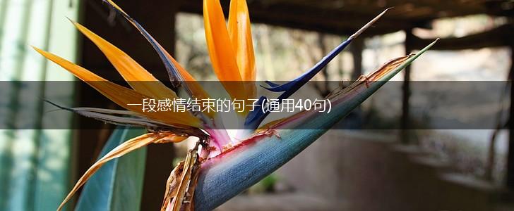 一段感情结束的句子(通用40句),第1张