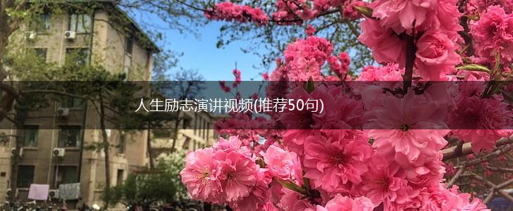 人生励志演讲视频(推荐50句),第1张