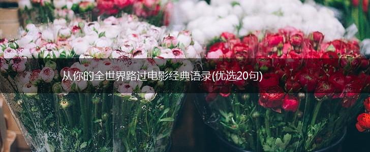 从你的全世界路过电影经典语录(优选20句),第1张