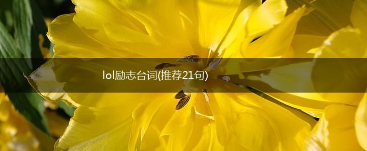 lol励志台词(推荐21句),第1张