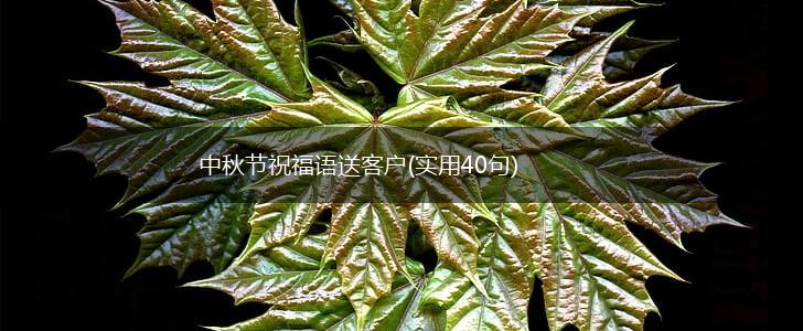 中秋节祝福语送客户(实用40句),第1张