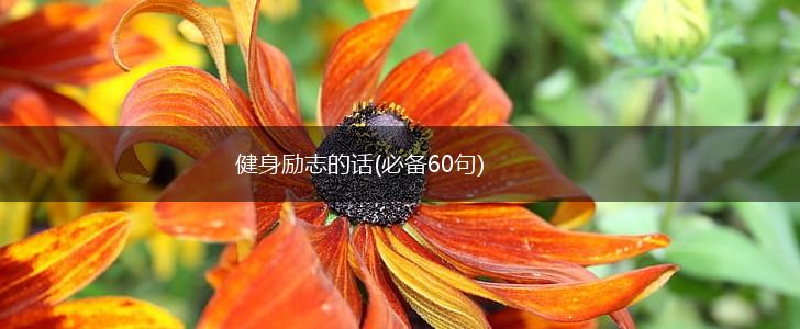 健身励志的话(必备60句),第1张