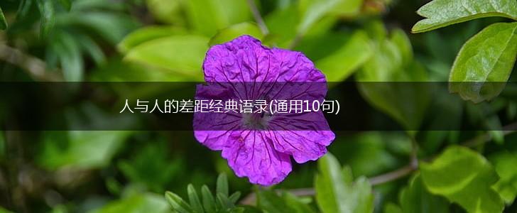 人与人的差距经典语录(通用10句),第1张