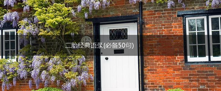 二胎经典语录(必备50句),第1张