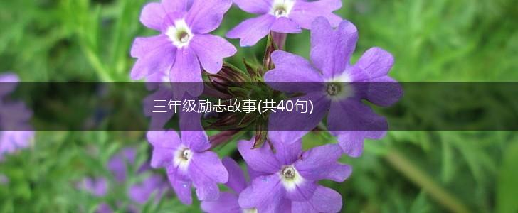 三年级励志故事(共40句),第1张