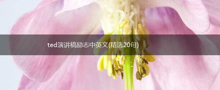ted演讲稿励志中英文(精选20句),第1张