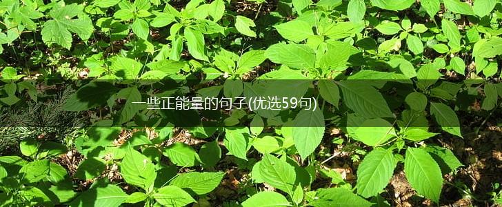 一些正能量的句子(优选59句),第1张