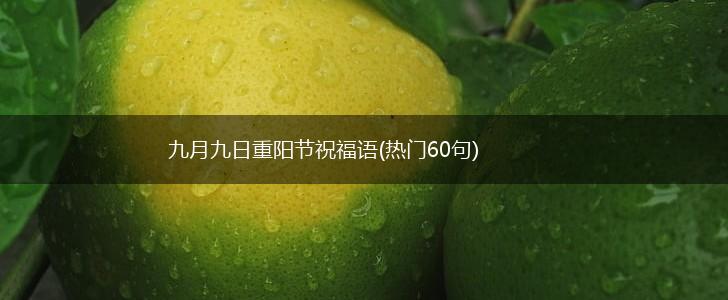 九月九日重阳节祝福语(热门60句),第1张