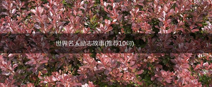 世界名人励志故事(推荐10句),第1张