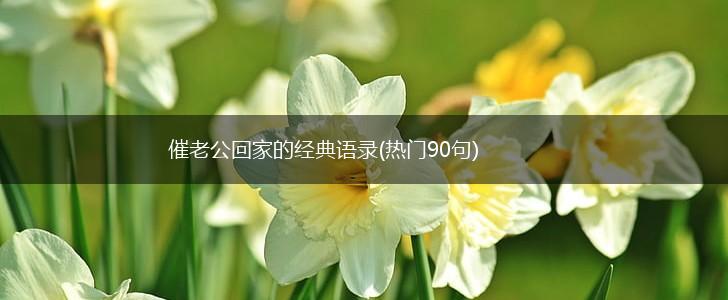 催老公回家的经典语录(热门90句),第1张