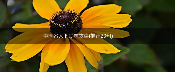 中国名人的励志故事(推荐20句),第1张