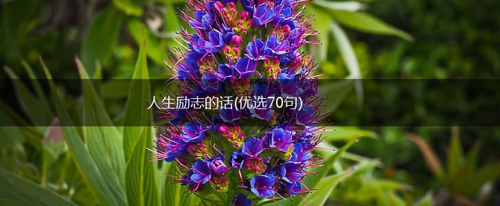 人生励志的话(优选70句),第1张