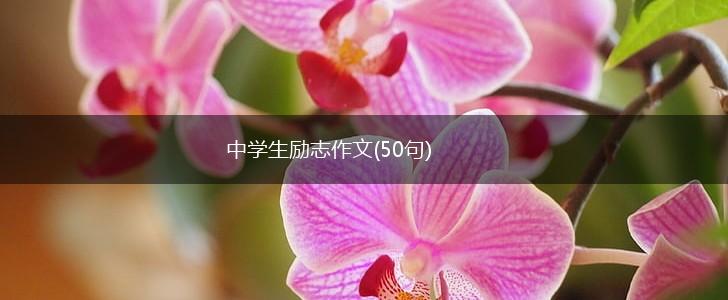 中学生励志作文(50句),第1张