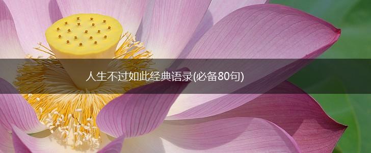 人生不过如此经典语录(必备80句),第1张