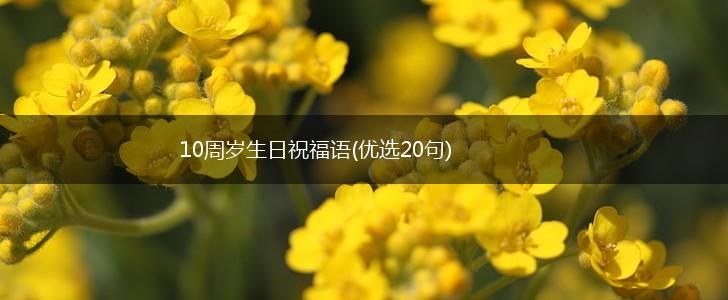 10周岁生日祝福语(优选20句),第1张