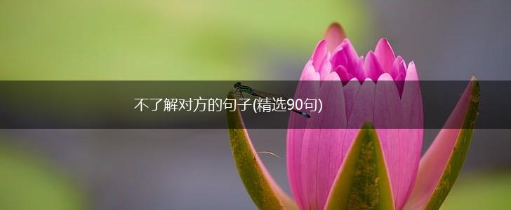 不了解对方的句子(精选90句),第1张