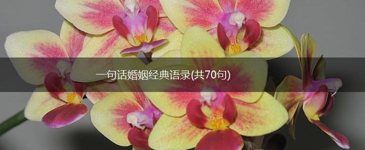 一句话婚姻经典语录(共70句),第1张