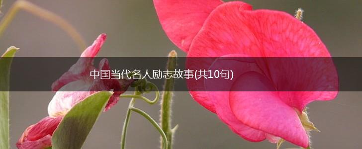 中国当代名人励志故事(共10句),第1张