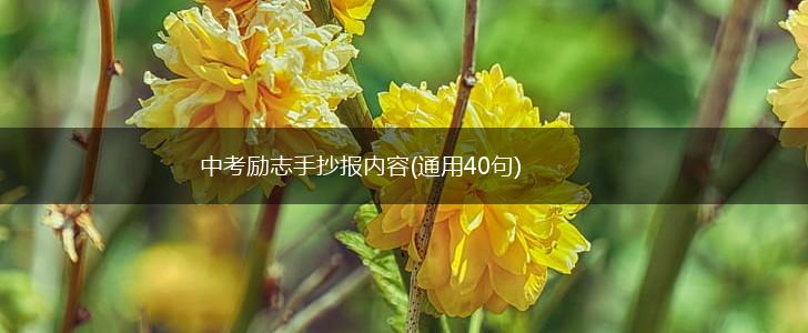 中考励志手抄报内容(通用40句),第1张