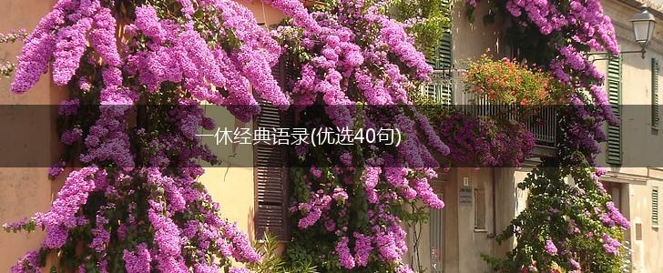 一休经典语录(优选40句),第1张