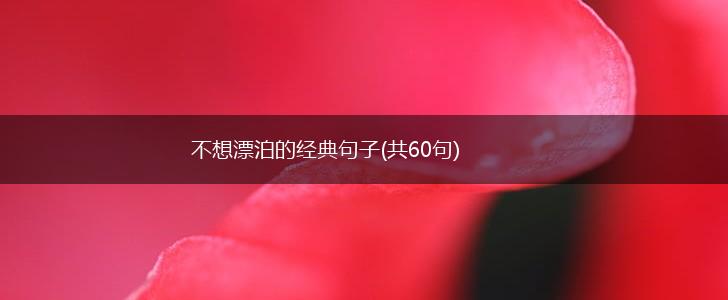 不想漂泊的经典句子(共60句),第1张