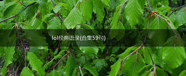 lol经典语录(合集59句),第1张
