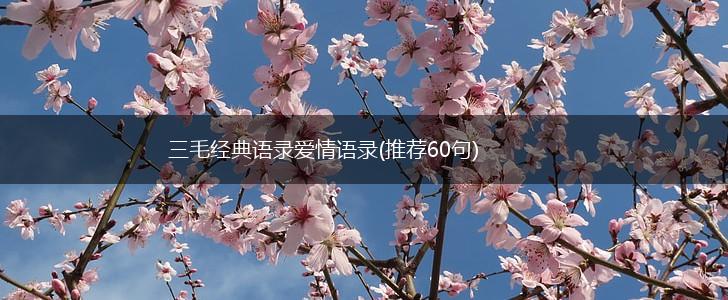 三毛经典语录爱情语录(推荐60句),第1张
