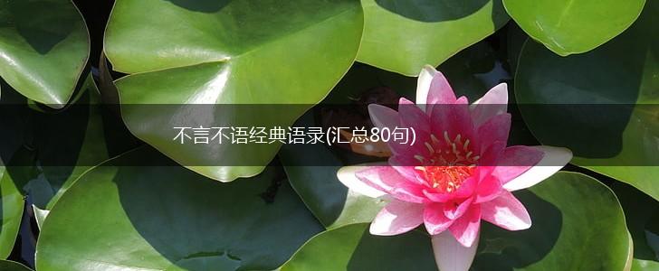 不言不语经典语录(汇总80句),第1张