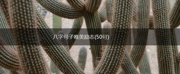 八字句子唯美励志(50句),第1张