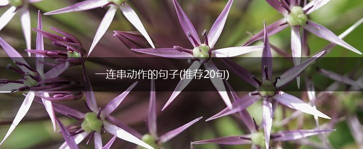 一连串动作的句子(推荐20句),第1张