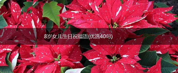 8岁女儿生日祝福语(优选40句),第1张