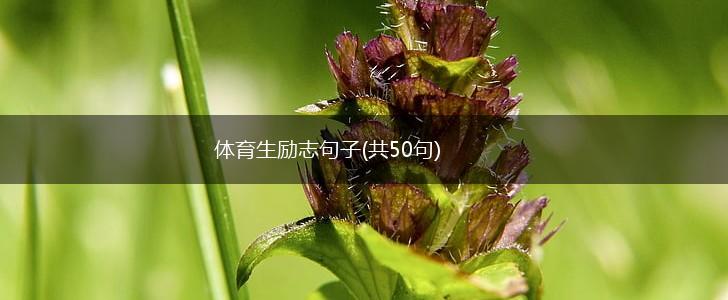 体育生励志句子(共50句),第1张