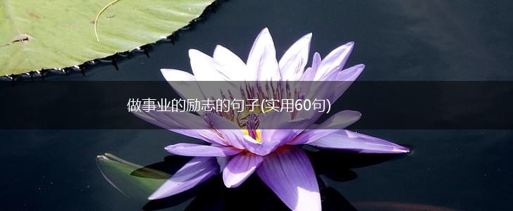 做事业的励志的句子(实用60句),第1张