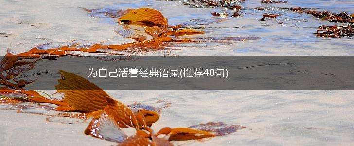 为自己活着经典语录(推荐40句),第1张