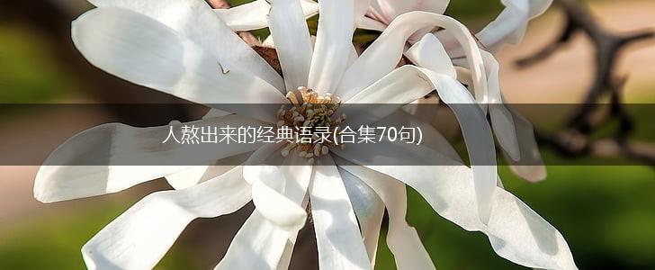 人熬出来的经典语录(合集70句),第1张