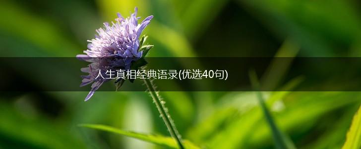 人生真相经典语录(优选40句),第1张