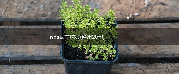 nba励志球员(通用20句),第1张