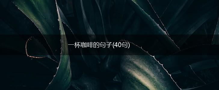 一杯咖啡的句子(40句),第1张