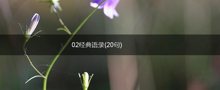 02经典语录(20句),第1张