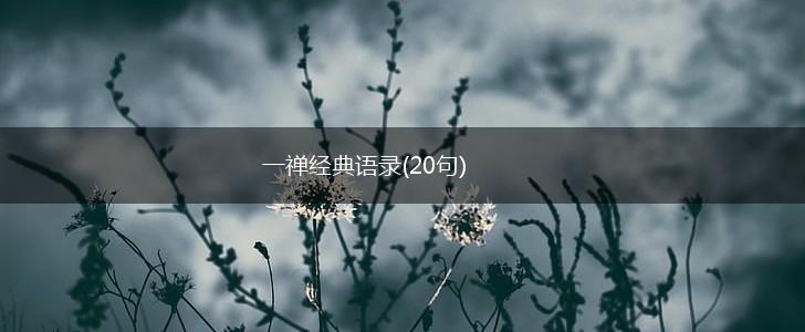 一禅经典语录(20句),第1张
